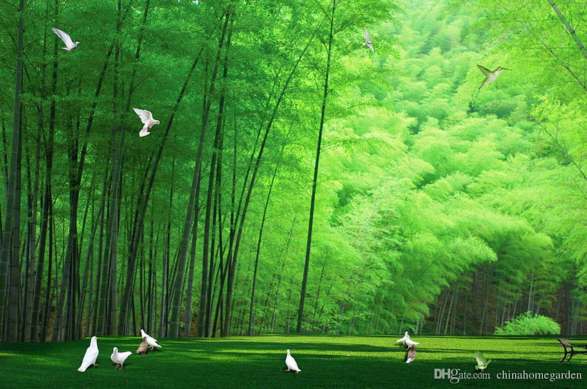 Papeles pintados 3D 3D de la pared del de la paloma del bosque de bambú hermoso para el contexto de la TV de Chinahomegarden, $34.18 fondo de pantalla