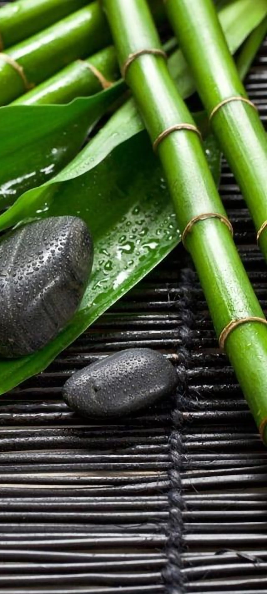 Žeb, bambou, zen, vert, pierres Fond d'écran de téléphone HD