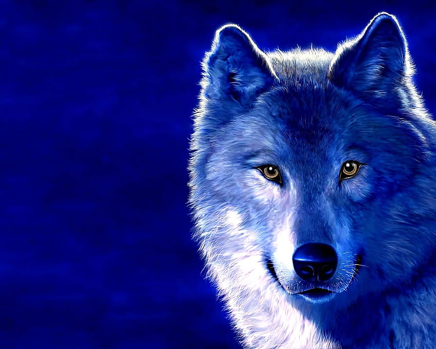 Beyond ice wolf THE WOLVES OF FIRE AND ICE Role Play HD wallpaper | Pxfuel