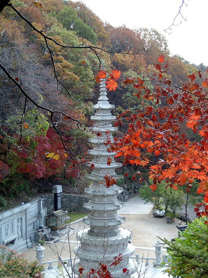 Buddhist Temple in Fall, Korea Fall HD phone wallpaper