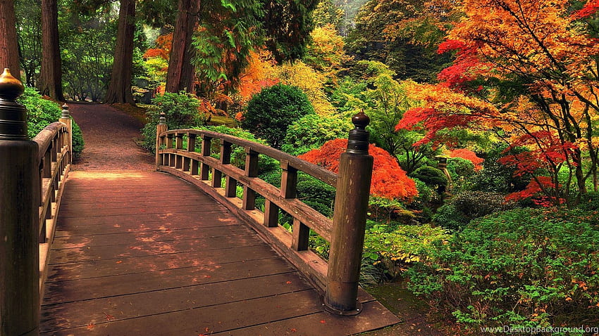 Ogrody: Szerokie tło ogrodu japońskiego, podwójny ekran japoński Tapeta HD