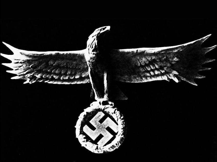 Latar belakang Elang Nazi, Elang Jerman Wallpaper HD