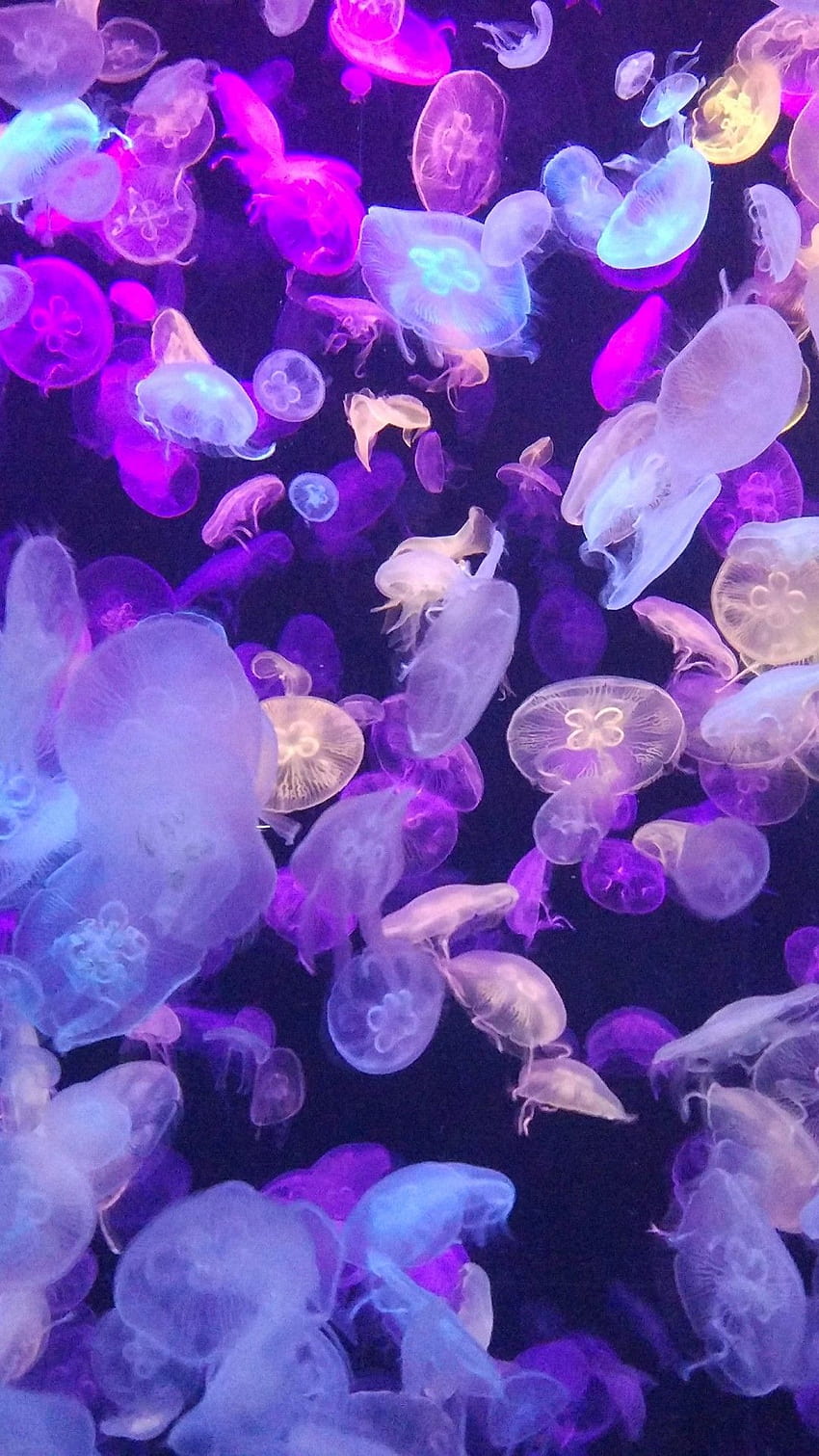 Purple Crystal 2020, Purple Gem iPhone HD phone wallpaper