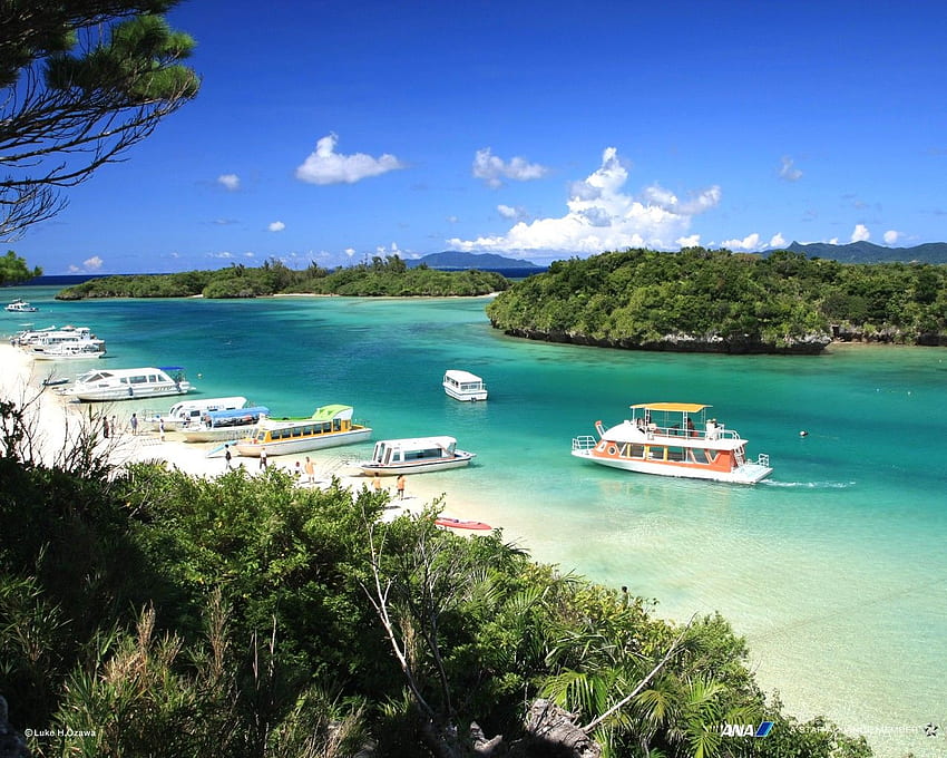 Окинава, най-красивата свещена земя за гмуркане в Япония Ишигаки? U 30189 - Цветя HD тапет