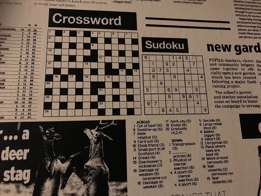 My Girlfriend Has Newsprint Style In Her Bathroom And The Crossword Is Nonsense. : R Mildlyinfuriating HD wallpaper