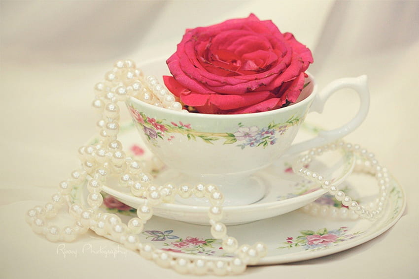 Cup of rose and pearls, rose, dreams, love, pearl, red, beautiful, flowers, cup HD wallpaper