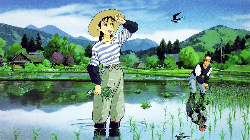 Only Yesterday- Arte de anime, Ghibli, Miyazaki HD wallpaper