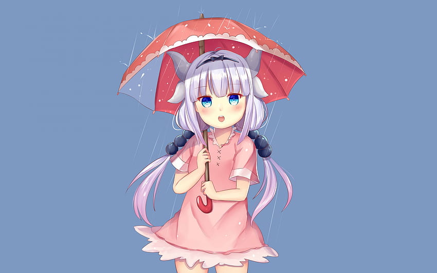Curious, Kanna Kamui With Umbrella, Kobayashi San Chi No Maid Dragon, Rain  , , Dual Wide, 16:10 HD wallpaper | Pxfuel