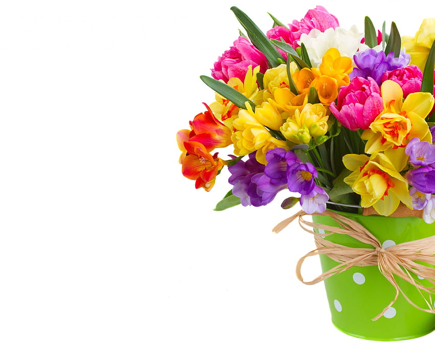 Fiori primaverili, colorati, bouquet, narcisi, secchio, fiori, primavera Sfondo HD