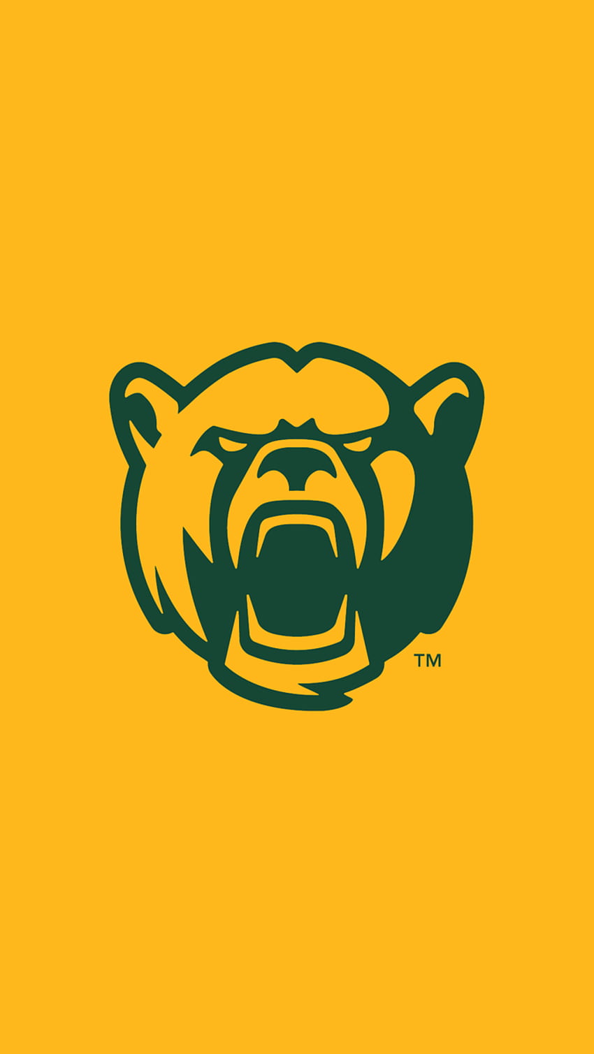 Download wallpapers Baylor Athletics flag NCAA green yellow metal  background american football team Baylor Athletics logo USA american  football golden logo Baylor Athletics for desktop free Pictures for  desktop free