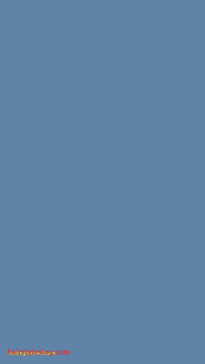 Solid Blue - , Solid Blue Background on Bat, Plain Navy Blue HD phone wallpaper
