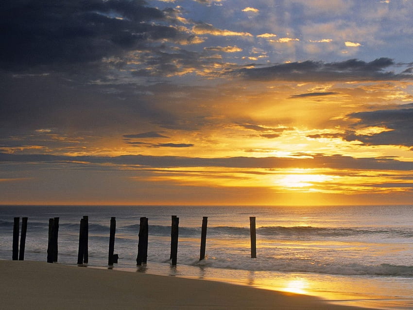 St. Clair Beach at Sunrise, Dunedin, New Zealand , skies, beautiful, sunset, sunrise, ocean, beach HD wallpaper