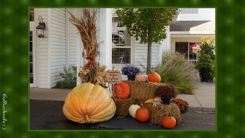 Pumpkin Kisses & Harvest Wishes : ), bingkai, oranye, perbatasan, labu, labu, telinga jagung, thankfu1, Amish Country, hijau, labu, bunga, Thanksgiving, lentera, jerami, border1ine, ho1iday Wallpaper HD