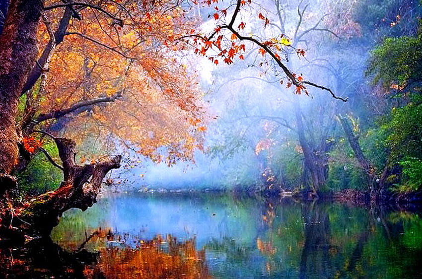 Mglista rzeka, mgła, rzeka, jesień, liście pomarańczy, brzegi, drzewo Tapeta HD