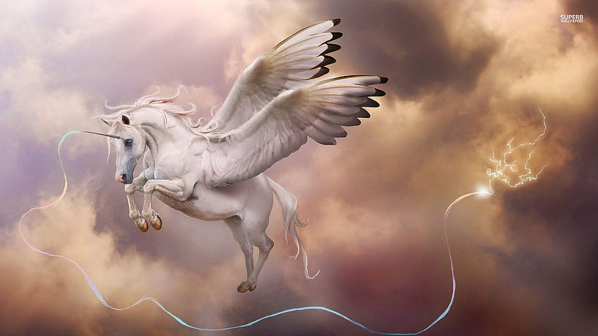 Alicorn, Pegasus HD wallpaper
