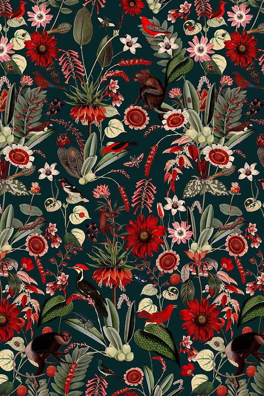 Eden Nightfall. Botanical , Pattern , Red HD phone wallpaper