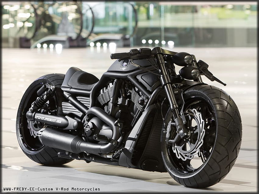 Harley Davidson V Rod nguồn cảm hứng cho những bản độ  Mô Tô Việt