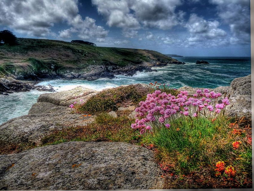 ミレー岬、フィニストレ、海、花、空、自然、波、岩、雲、ビーチ 高画質の壁紙