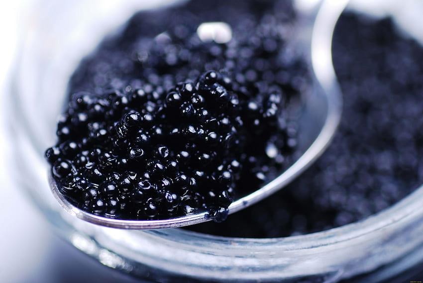 Caviar and Background HD wallpaper