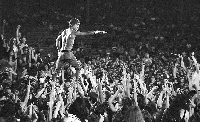 Ojciec chrzestny punka, Iggy Pop, spaceruje po tłumie na żywo podczas Stooges Tapeta HD