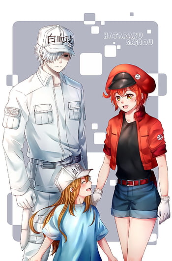 Cells at Work Season 3 Release Date Renewal and Manga Status  Whenwill