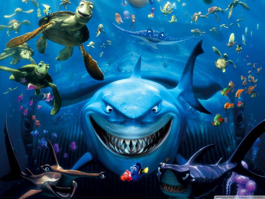 Findet Nemo HD-Hintergrundbild