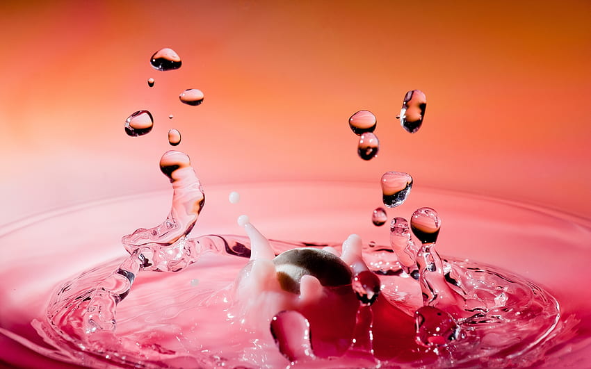 Pink water, pink, abstract, graphy, entertainment, drops, water HD wallpaper