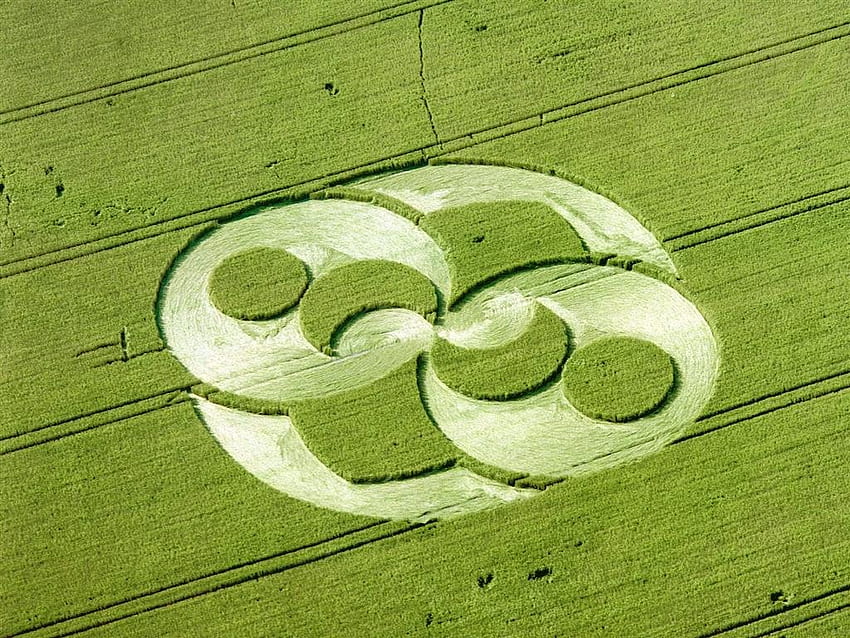 Crop Circles for background HD wallpaper