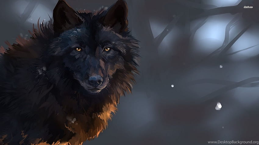 black wolf wallpaper