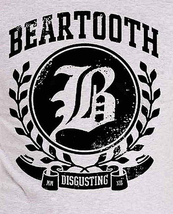 beartooth disgusting band