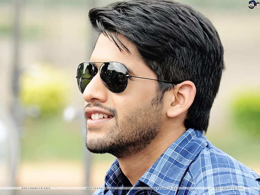 Naga Chaitanya Sends Out Some OTT Recommendations to his Fans  Filmfarecom