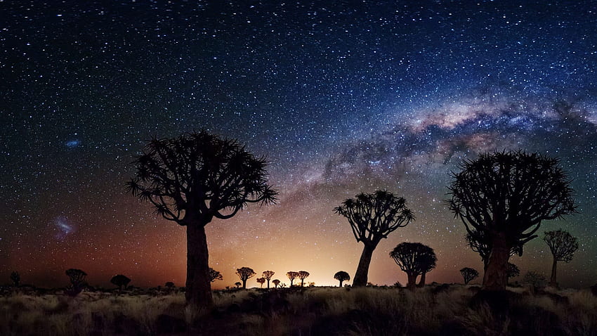 Paesaggio notturno La Via Lattea alberi zona desertica nella notte Joshua Tree National Park Stati Uniti Sfondo HD