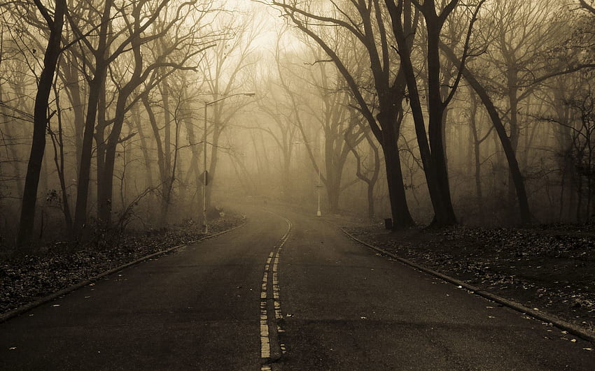 Spooky Forest, Scary Road HD wallpaper
