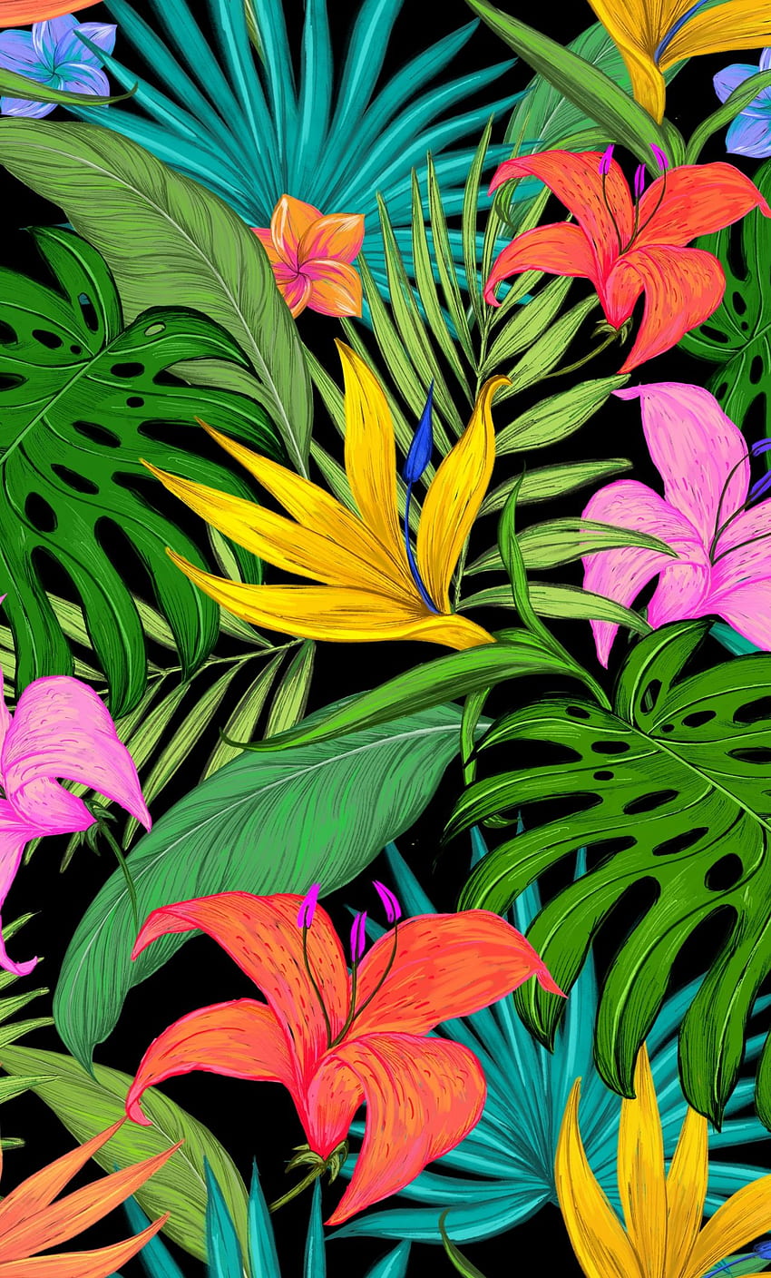 패턴, 열대의, 꽃, 잎, 아이폰 6 플러스, , 배경, 16259, 열대 잎 HD 전화 배경 화면