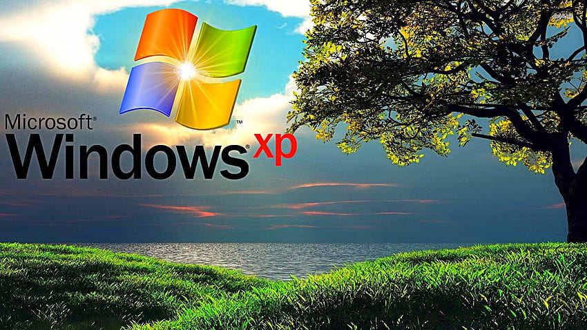 Windows XP Professional, Microsoft Windows XP Professional Tapeta HD