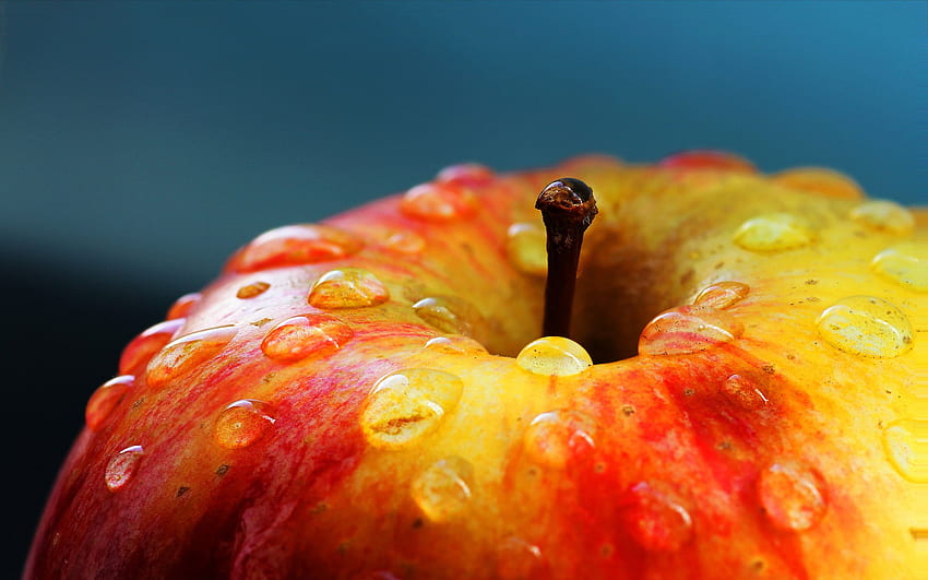 Apples - Fall Apples - & Background HD wallpaper