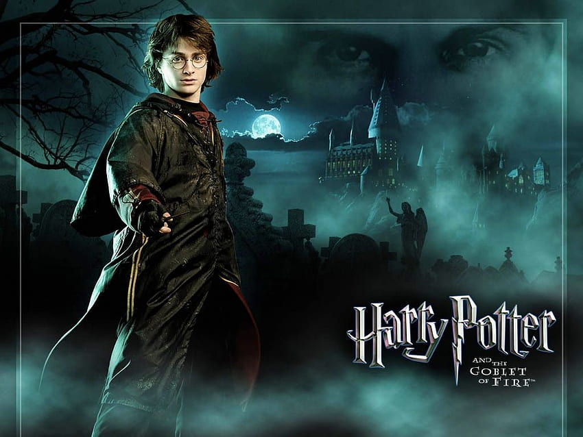 Cálice de Fogo . Harry Potter Cálice de Fogo, Harry Potter e o Cálice de Fogo e Cálice de Fogo, Harry Potter Dragões papel de parede HD