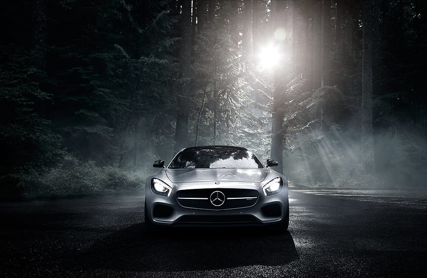 Cars, Night, Forest, Front View, Amg, Mercedes-Benz, Silver, Silvery, 2016, Gt S HD wallpaper