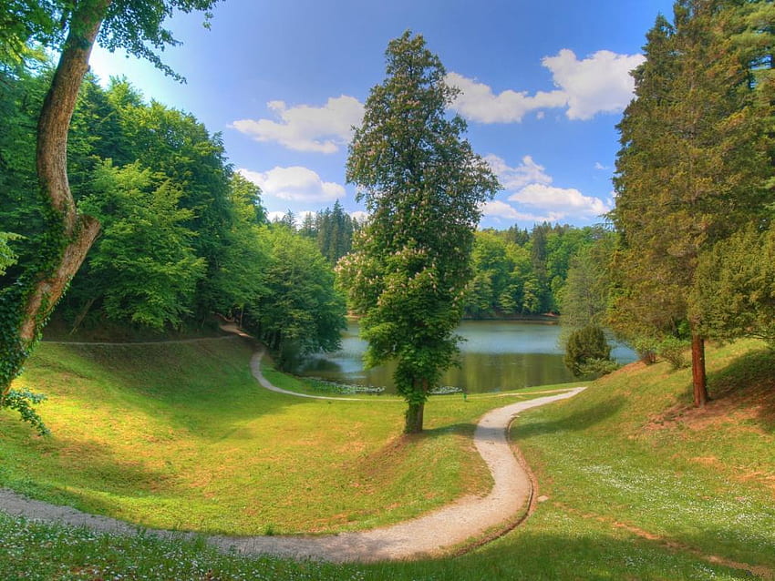 Pond-in-the-park, verde, nuvole, alberi, cielo, natura, erba, parco, stagno Sfondo HD