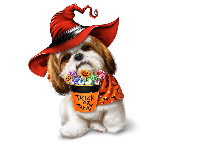 Честит Хелоуин!, куче, Мерилин Казенав, сладко, оранжево, вещица, бонбони, Хелоуин, кученце, червено, furmusete, caine, шапка HD тапет