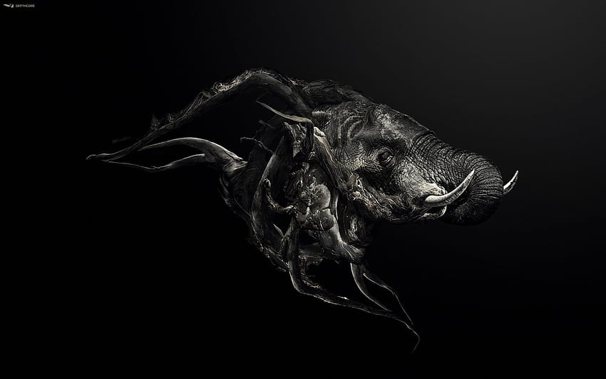 Ilustracja szarego potwora, słoń, czarny, streszczenie słonia Tapeta HD