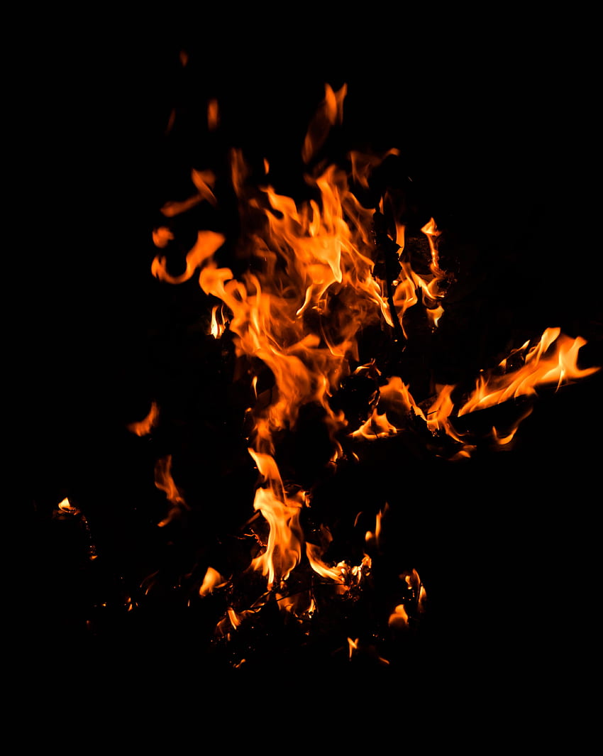 Fire, Bonfire, Dark, Flame HD phone wallpaper
