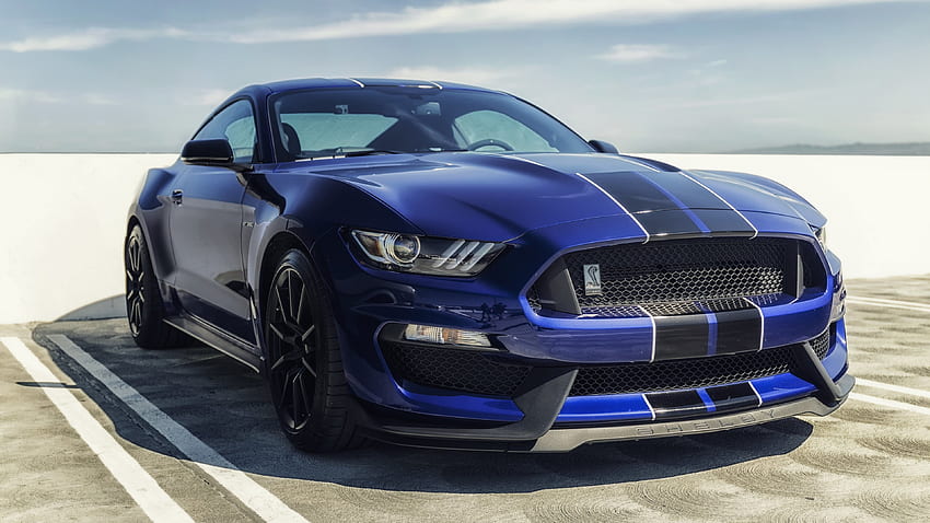 Ford Mustang Shelby Gt350 Blue Mustang .teahub.io, лого на Shelby HD тапет