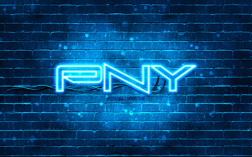 PNY blue logo, , blue brickwall, PNY logo, brands, PNY neon logo, PNY HD wallpaper