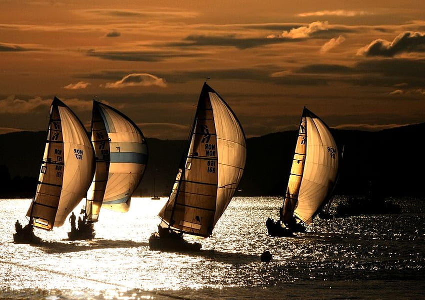 Golden Night Sailing, noite, dourado, barcos, vela, céu, pacífico, água, ouro papel de parede HD