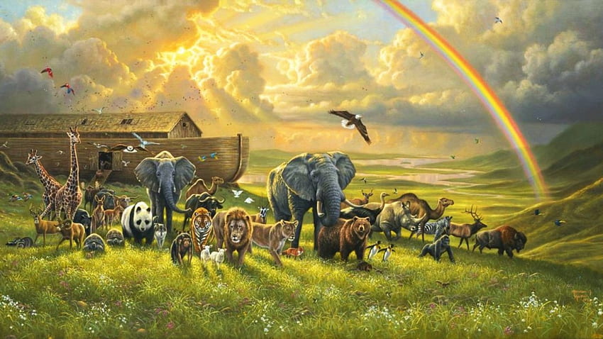 Noahs Ark Nine - Noah's Ark - - - Tip HD wallpaper