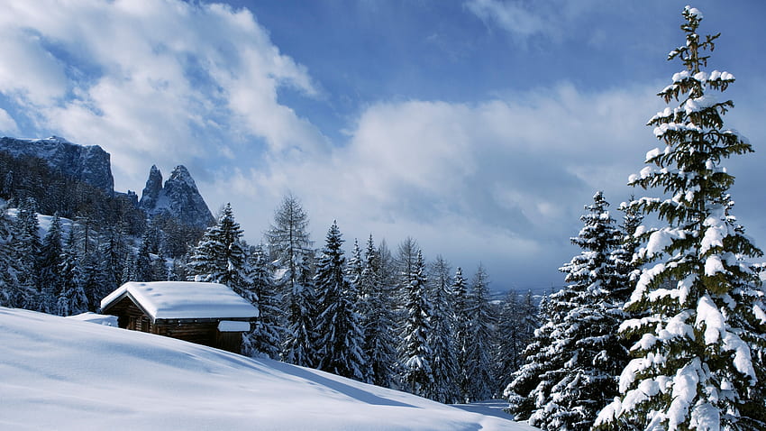 Winter in Val Gardena, Italy, dolomites, snow, trees, south Tyrol, mountains, cabin HD wallpaper