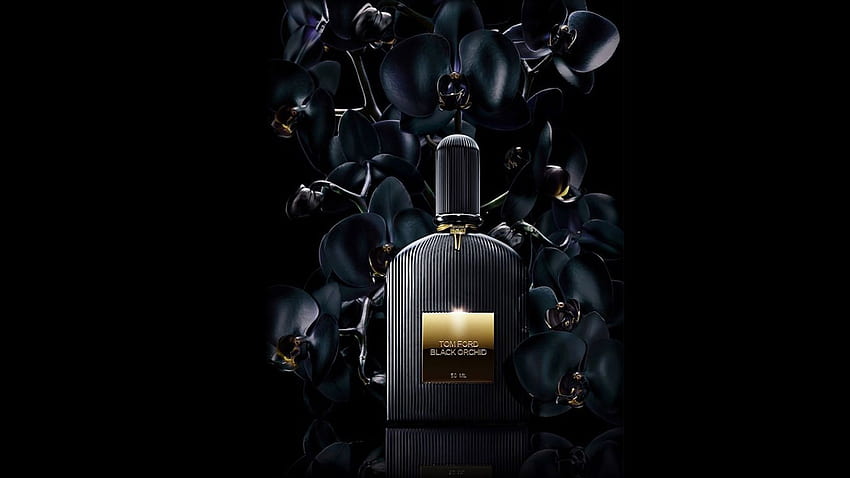 Orquideas Negras, mujer, olor, perfume, Orquideas fondo de pantalla