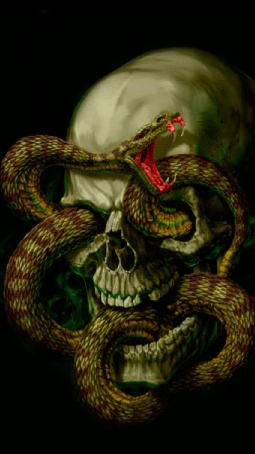 Snake and skull HD phone wallpaper