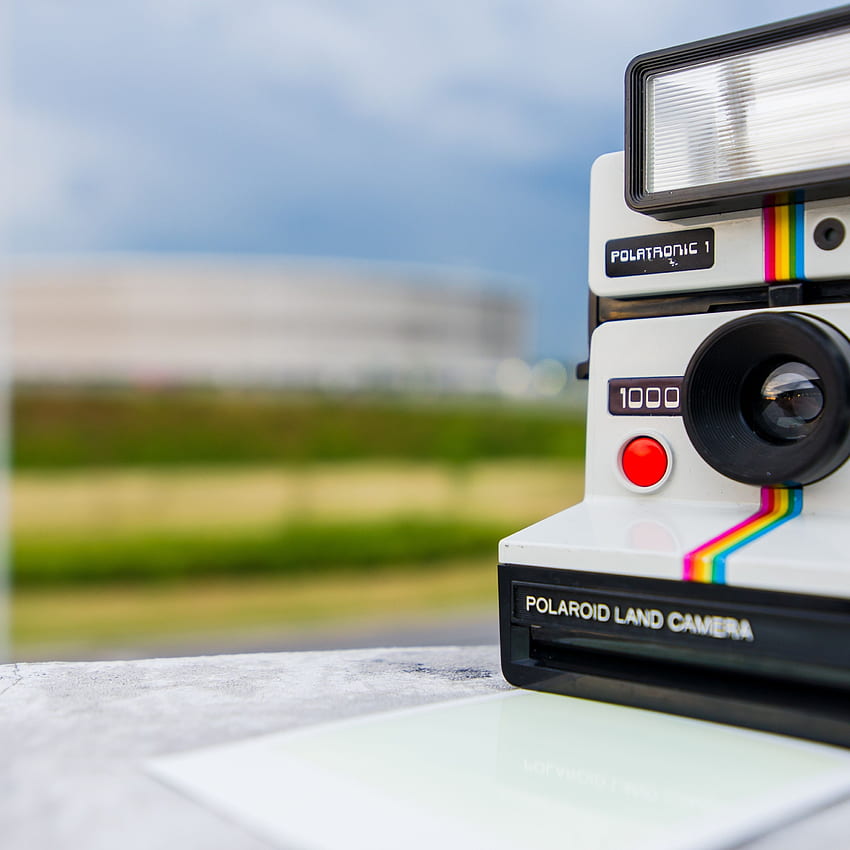 Polaroid Cameras HD phone wallpaper | Pxfuel